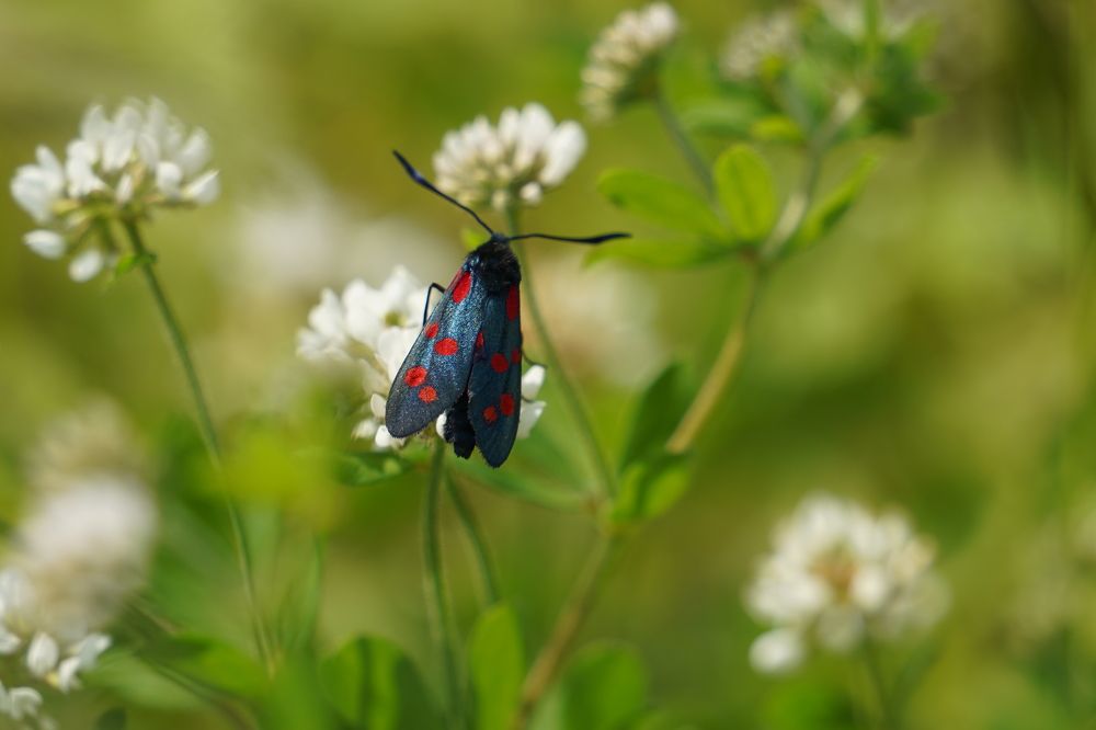 Photograph by Дмитрий Цикин