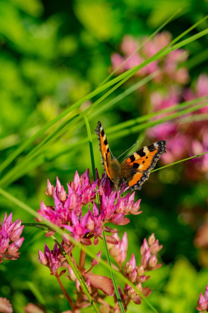 Photograph by Евгений Калагаев