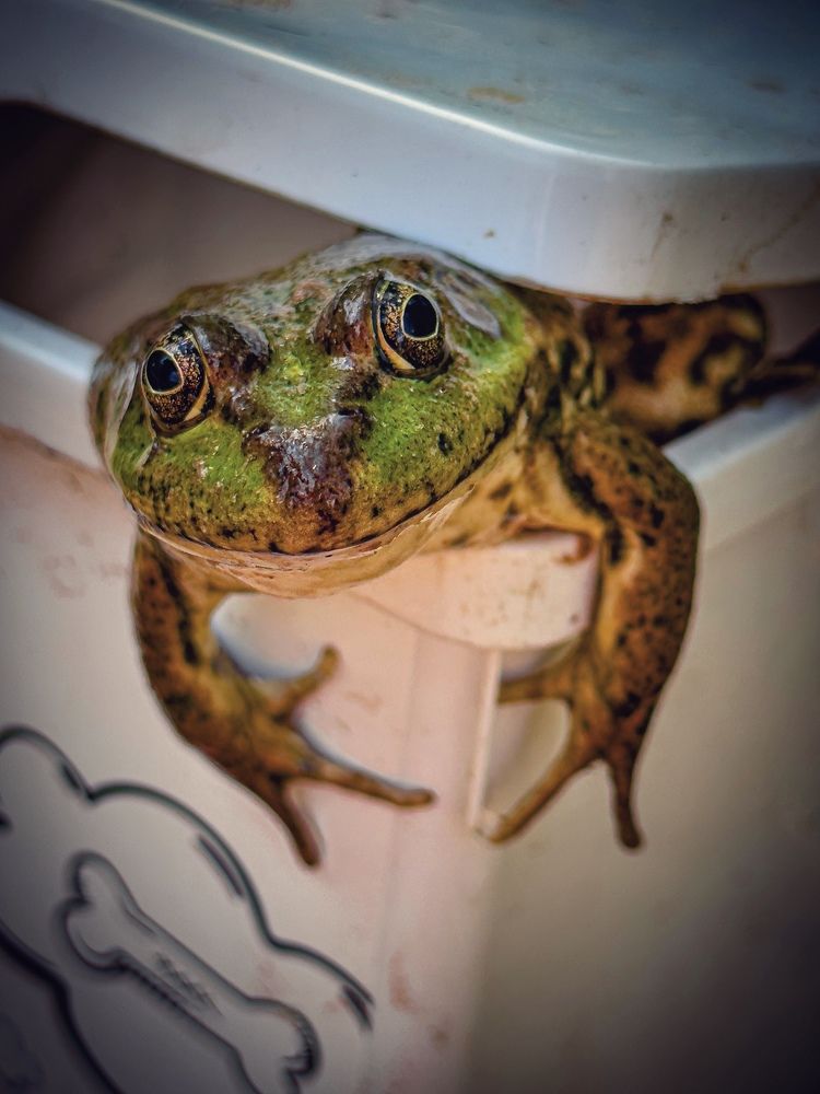 Photograph by Evgenia Privalova