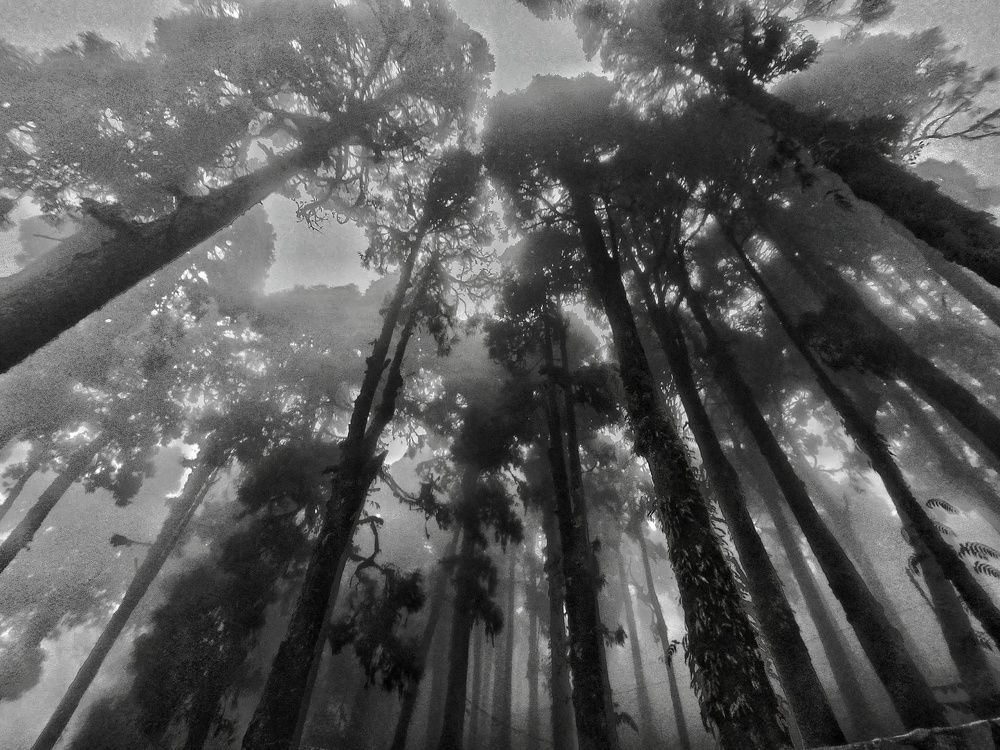 Photograph by Susobhan Biswas