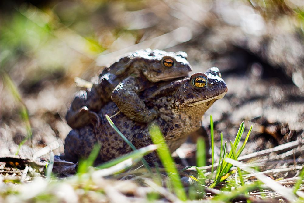 Photograph by Anna Suchcicka