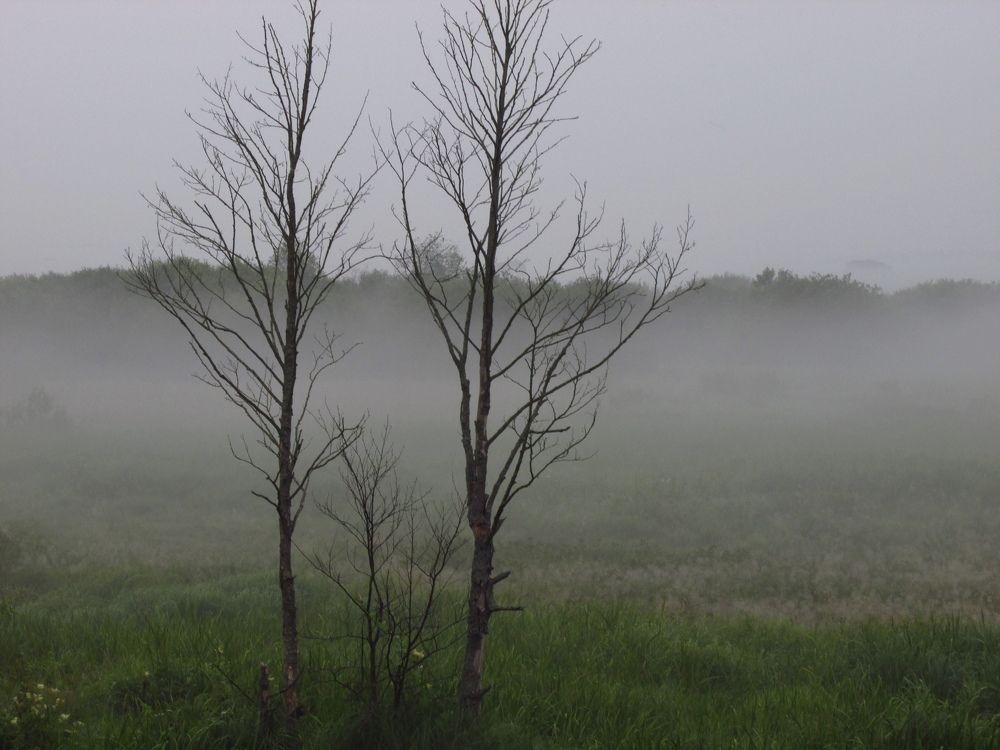 Photo #9296947