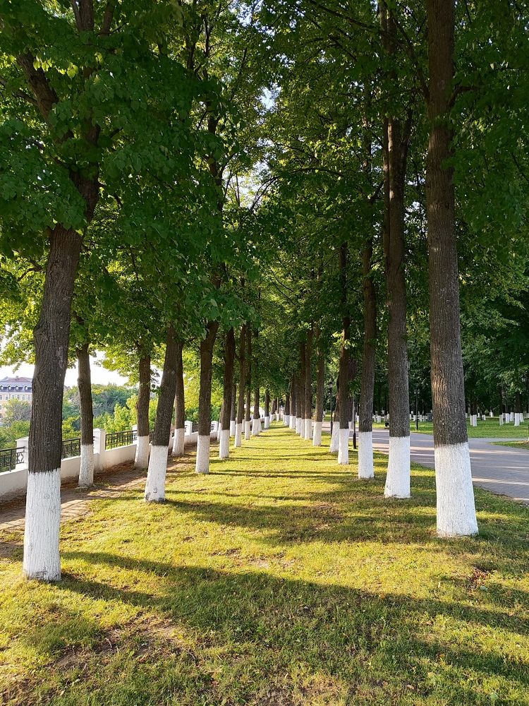 Photograph by Анастасия Зайченко