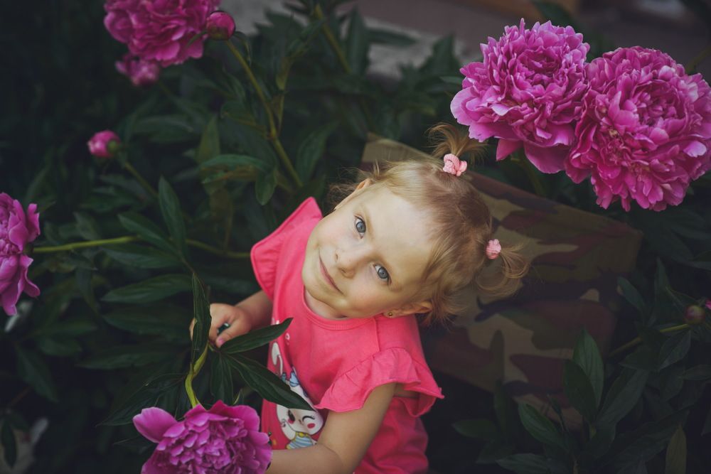 Photograph by Азаренко Сергей