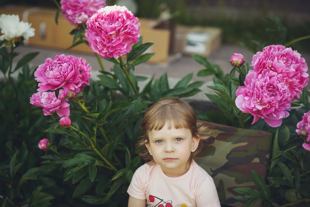 Photograph by Азаренко Сергей