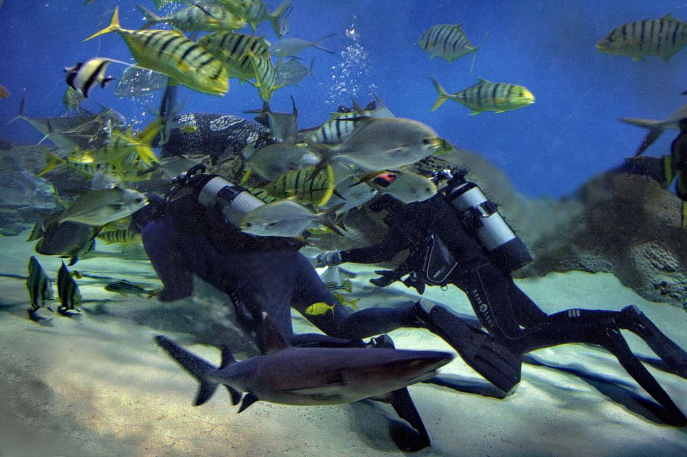 Photograph by вячеслав милов