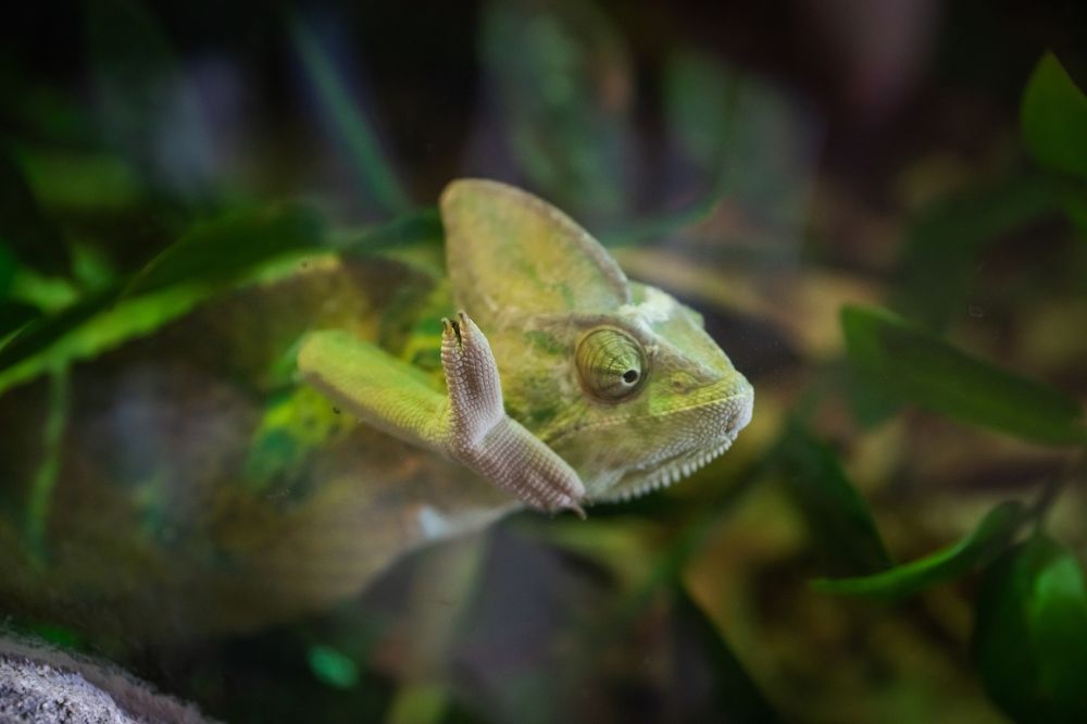 Photograph by Ольга Рачилова