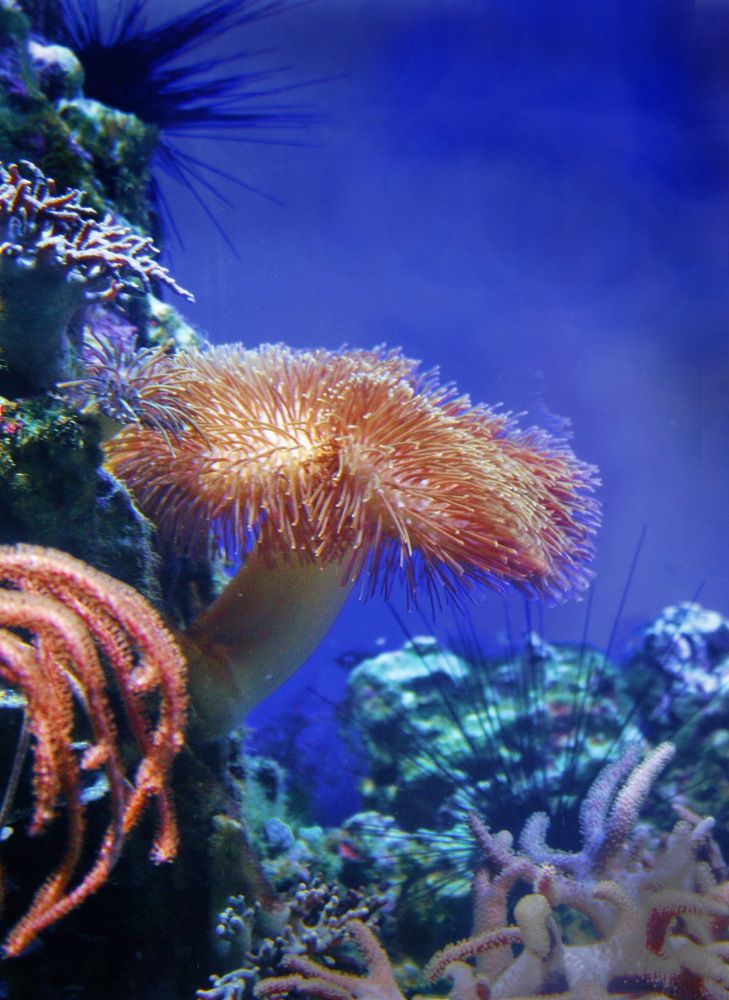 Photograph by вячеслав милов