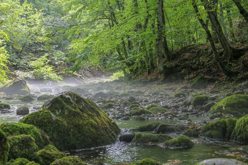 Photograph by Ivan Bazhenov