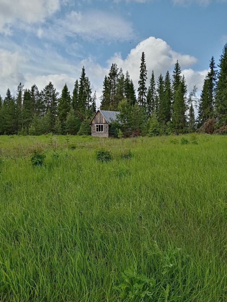 Photo #9297091