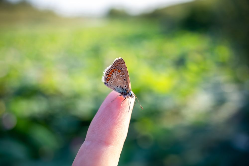 Photograph by Андрей