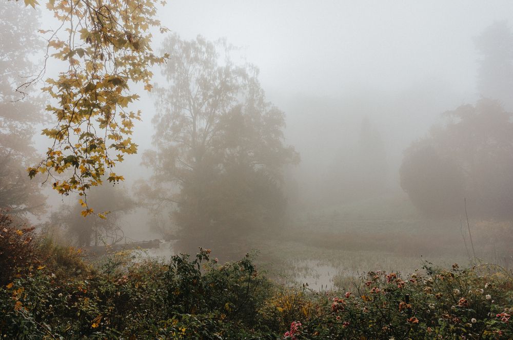 Photograph by Lisa Buzova