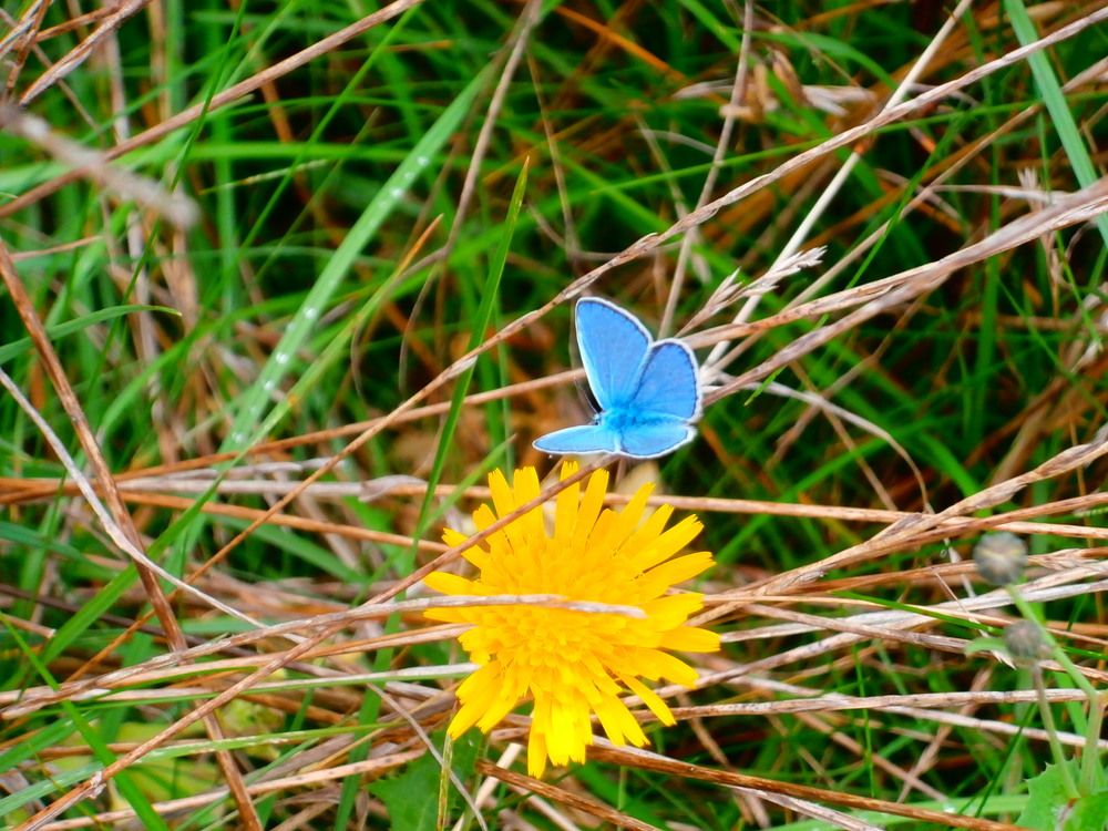 Photograph by ,Бурова Лариса