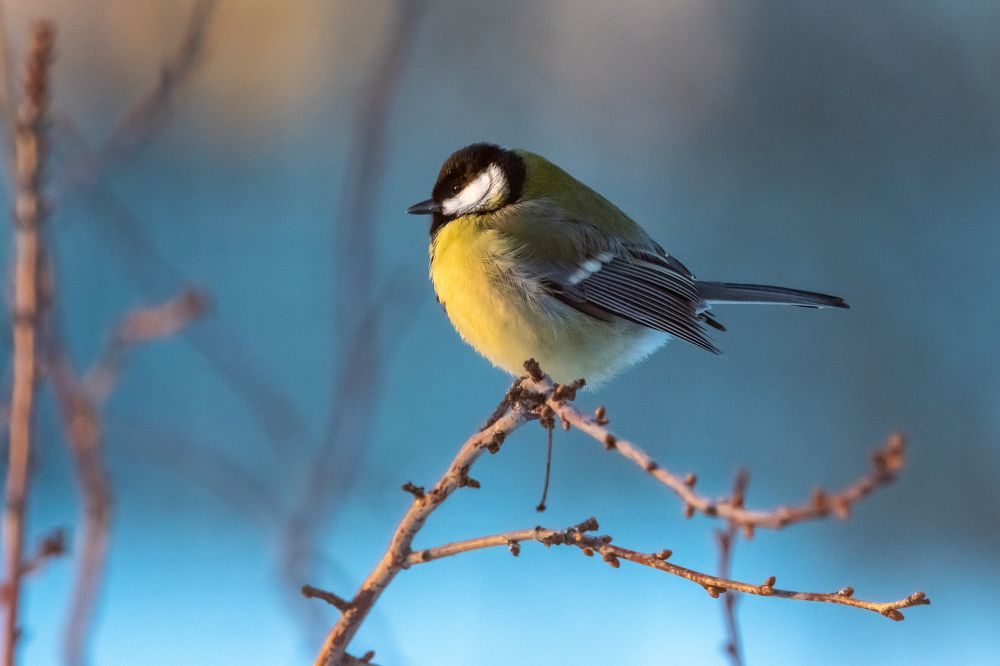 Photograph by Денис Калашников