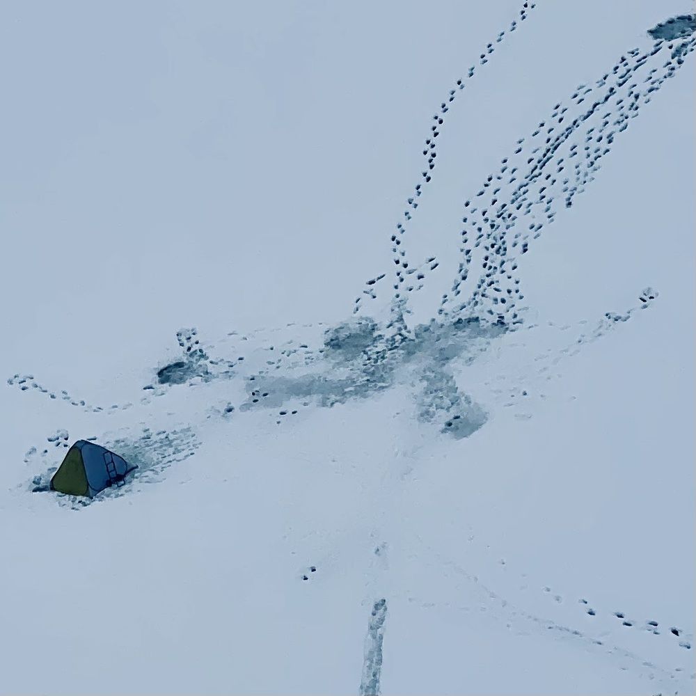 Зимняя рыбалка. Вид сверху