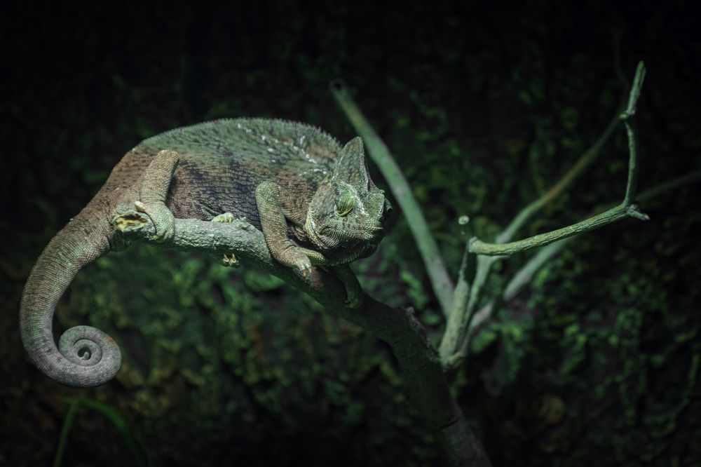 Photograph by Ольга Рачилова