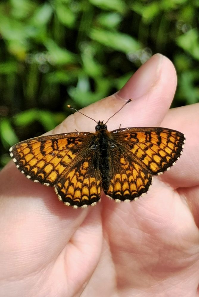 Фотография автора Мария