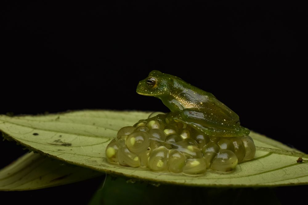Photograph by Diego A. Botero-Álvarez