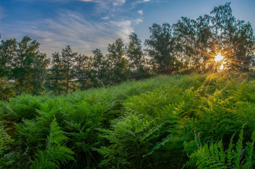 Photograph by Евгений Малинин