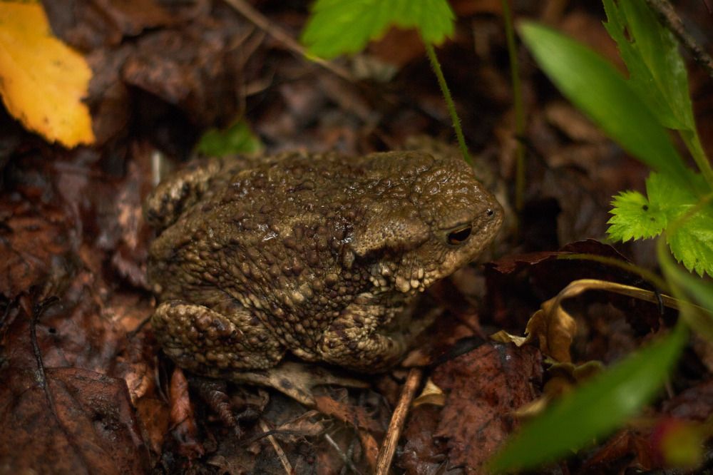 Photograph by Inna Tatarchenko