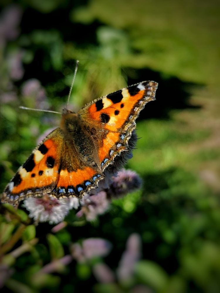 Фотография автора Мария