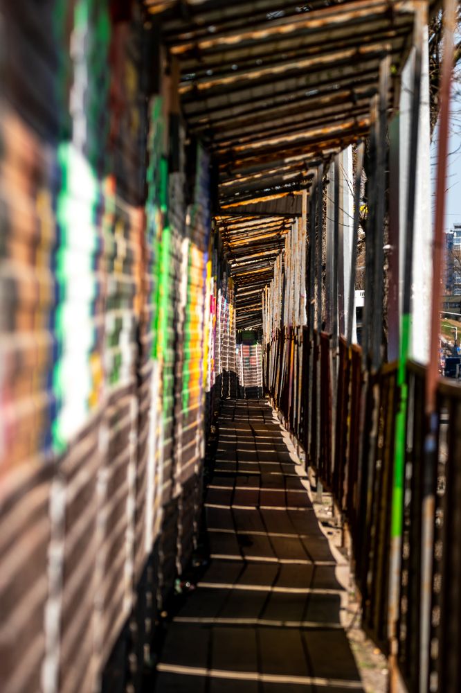 Photograph by Денис Калашников