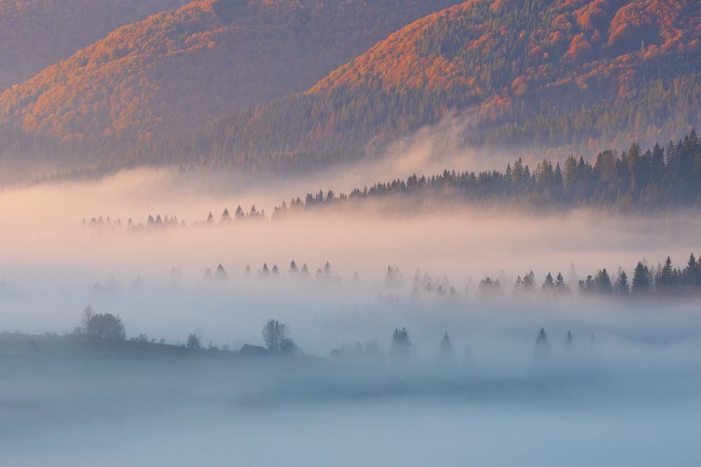 Photograph by Крицак Ольга