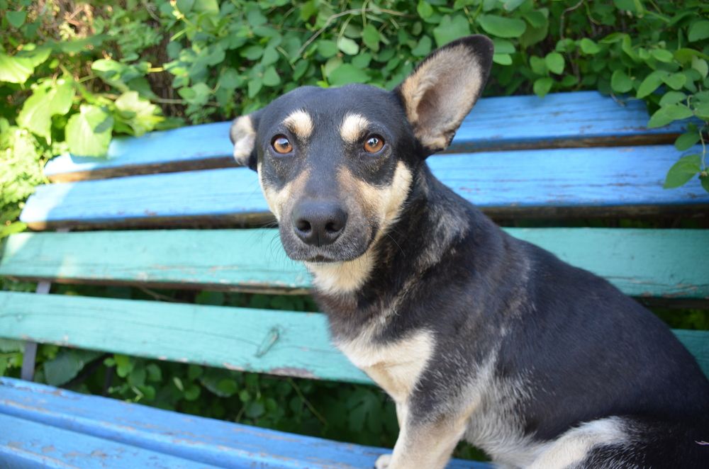 Photograph by Надежда Каравайцева