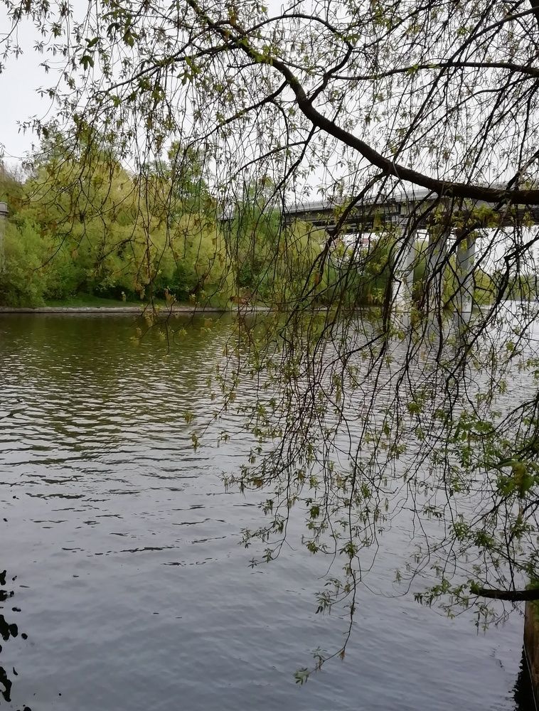 Фотография автора Петр Ваницын