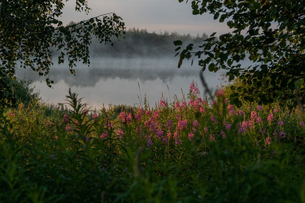 Photograph by Олеся Владимирова