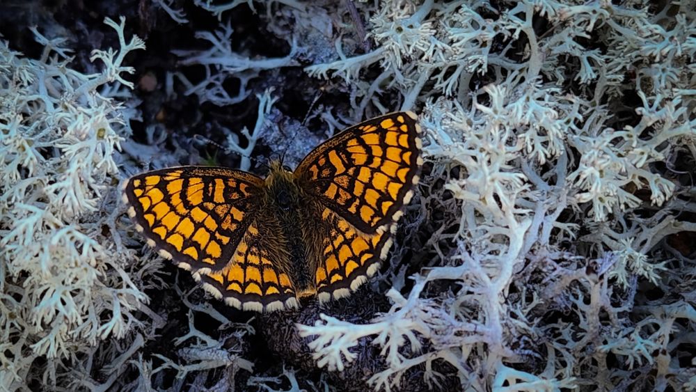 Photograph by Филиппов Олег