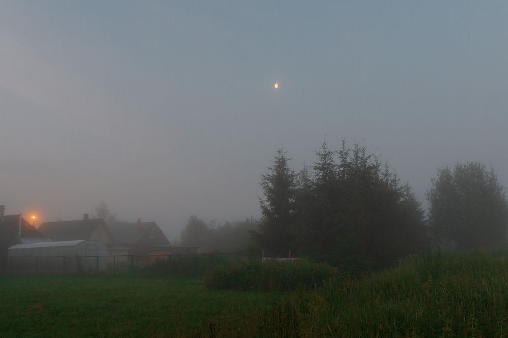 Photograph by Алексей Чеботарев