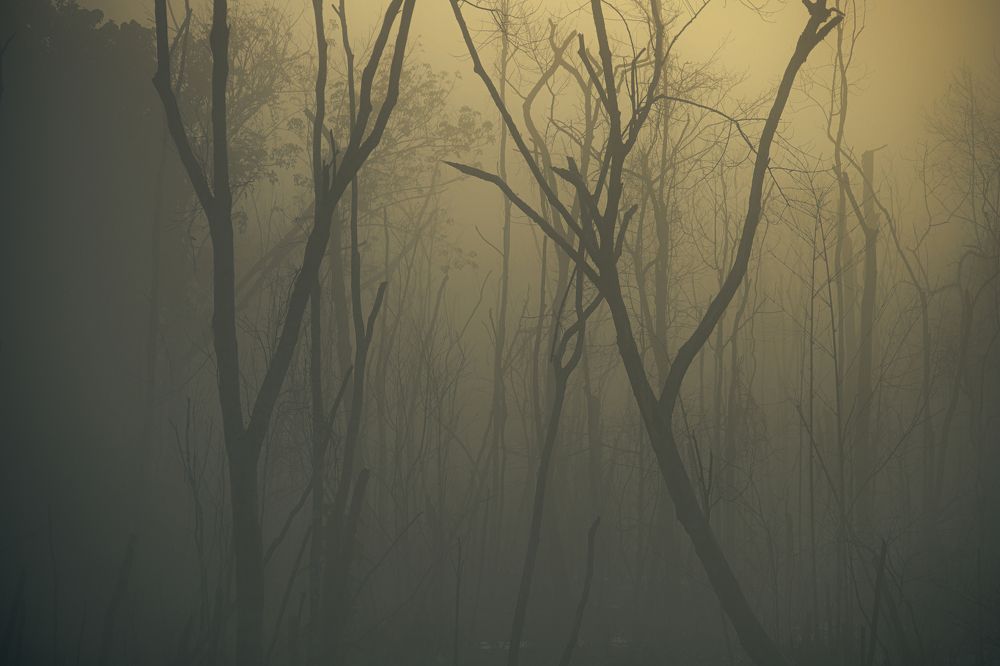 Фотография автора Anil Prabhakar