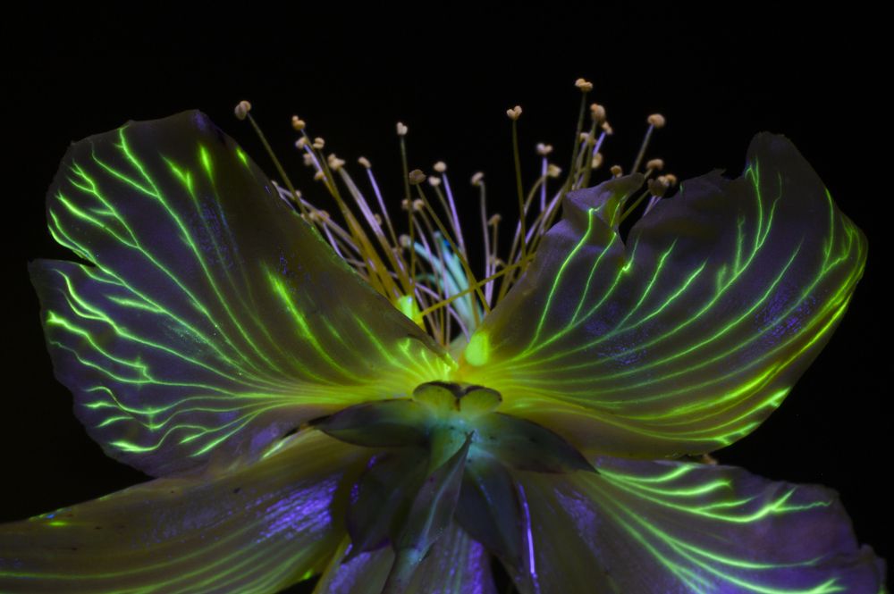 Photograph by Claudia Ruiz