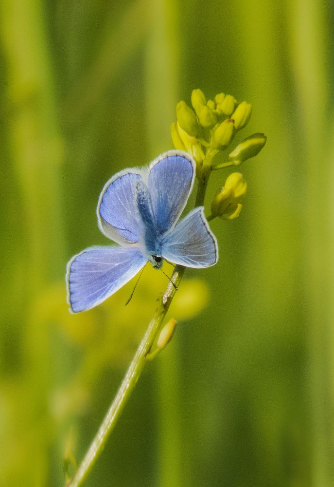 Photograph by mohammadjavad rostamiahmadvandi