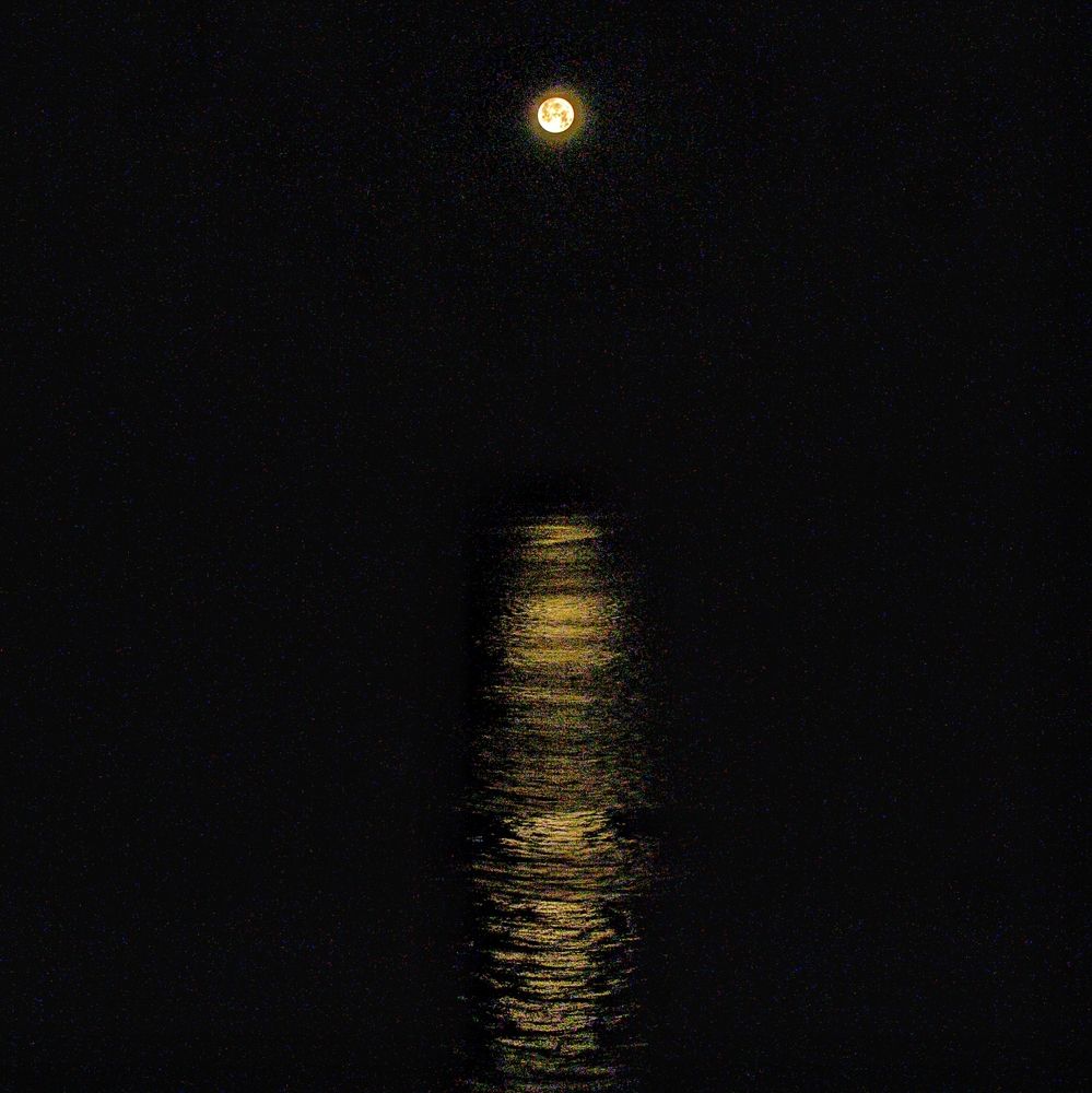 Photograph by Василиса Прекрасная