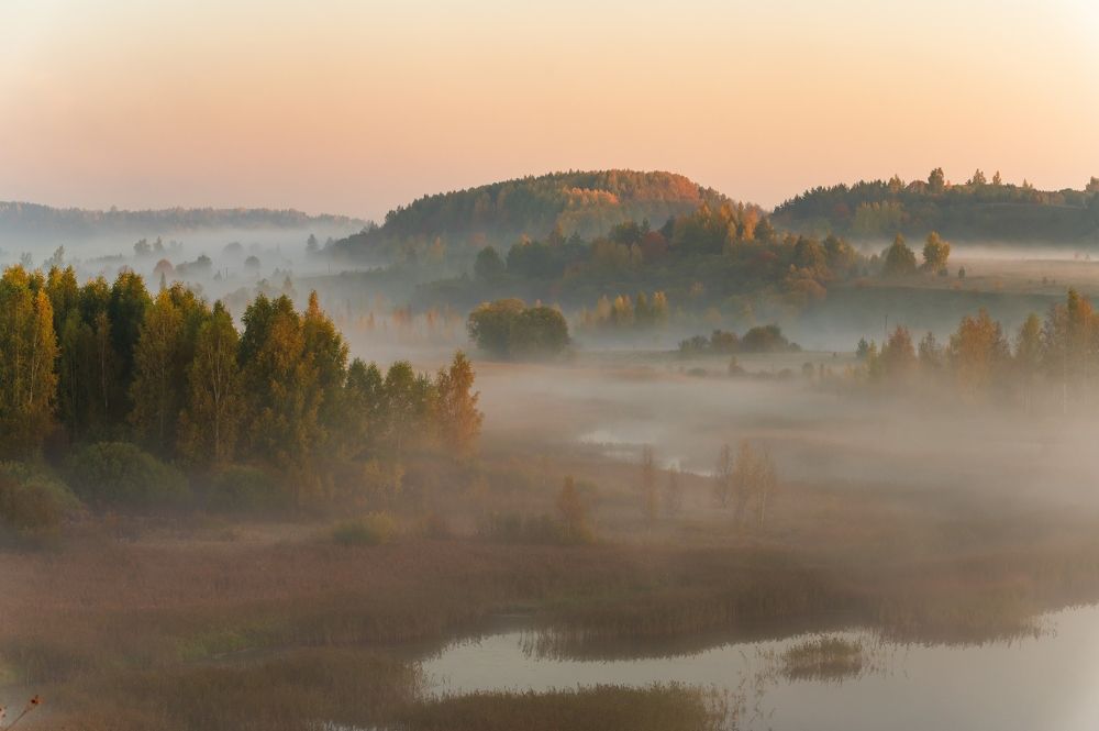 Photograph by Roman Dmitriev