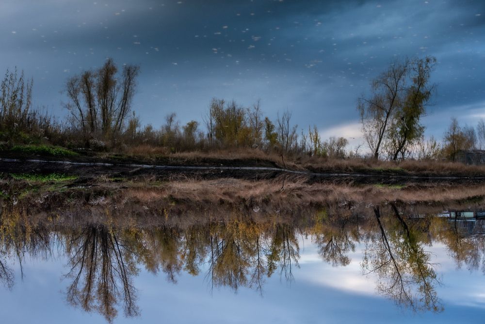 Photograph by Inna Ponomareva