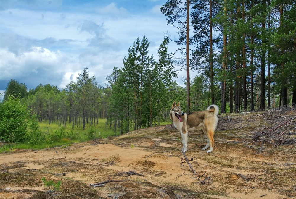 Photograph by Юрий Митенёв