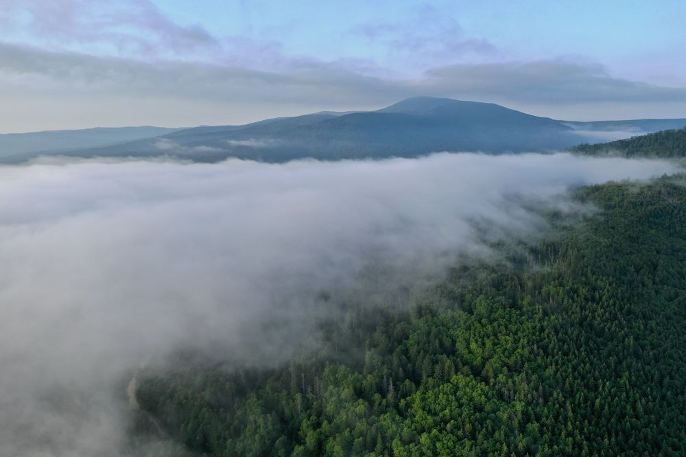 Photograph by Василиса Ногина