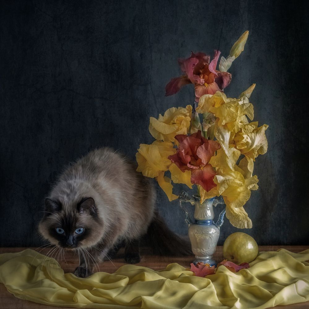 Photograph by Минаева Татьяна