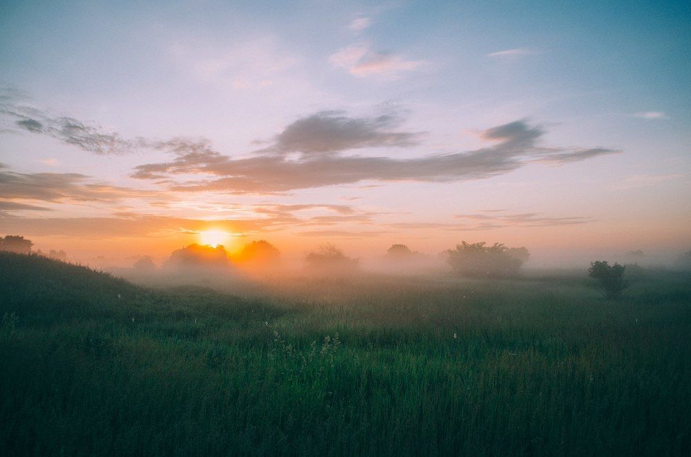 Photograph by Ольга Кузина