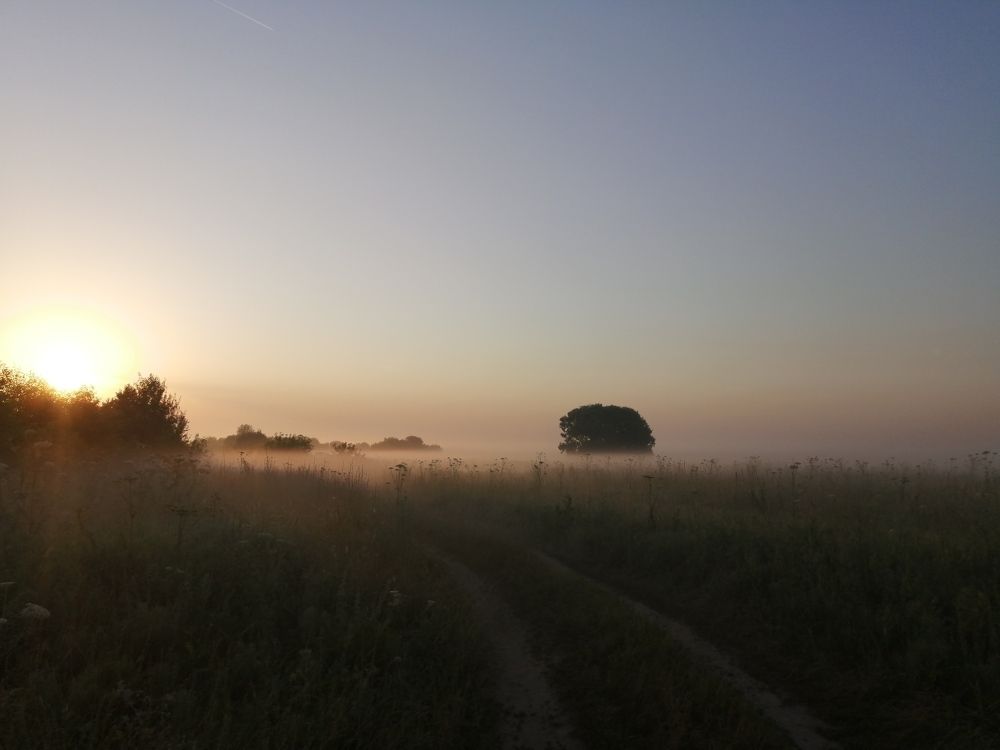 Photograph by Ольга Кузина