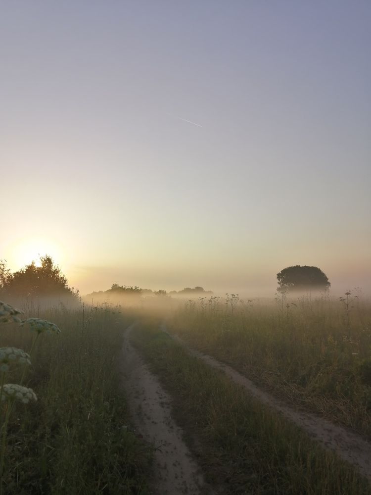 Photograph by Ольга Кузина