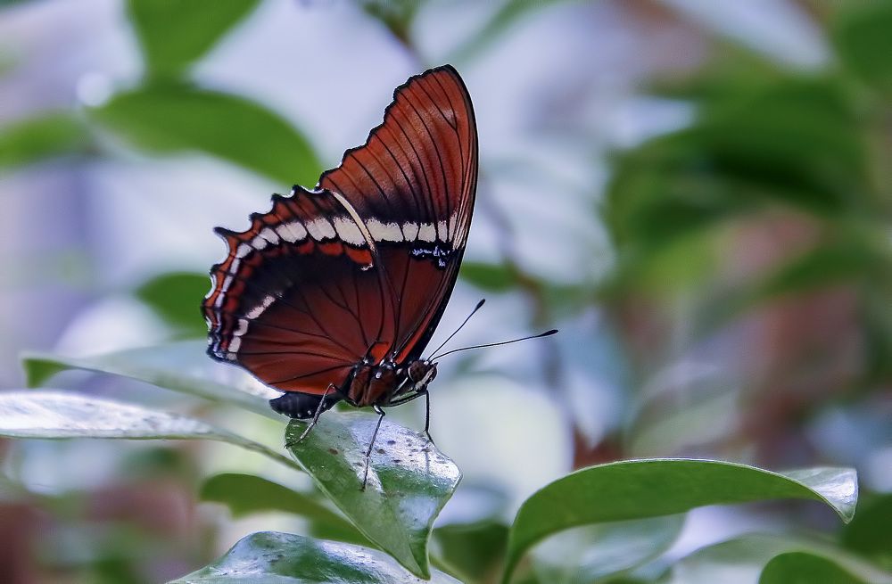 Фотография автора Александр