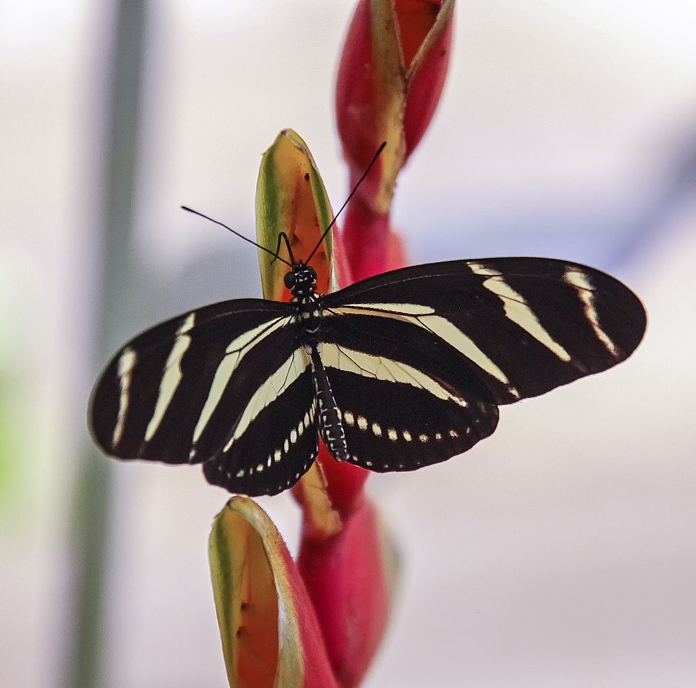 Фотография автора Александр