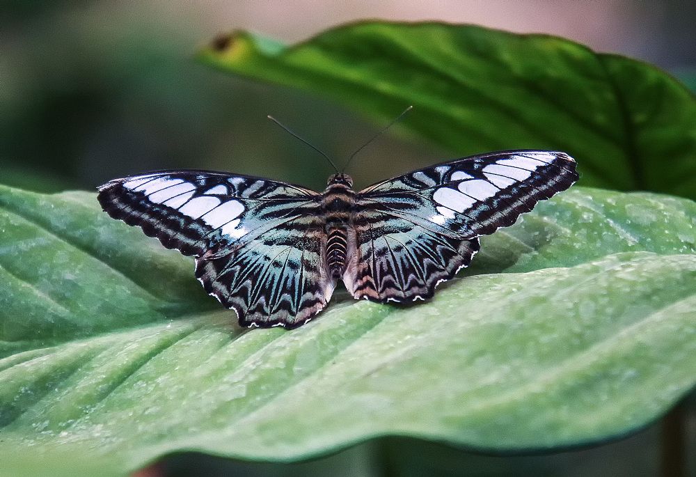 Фотография автора Александр