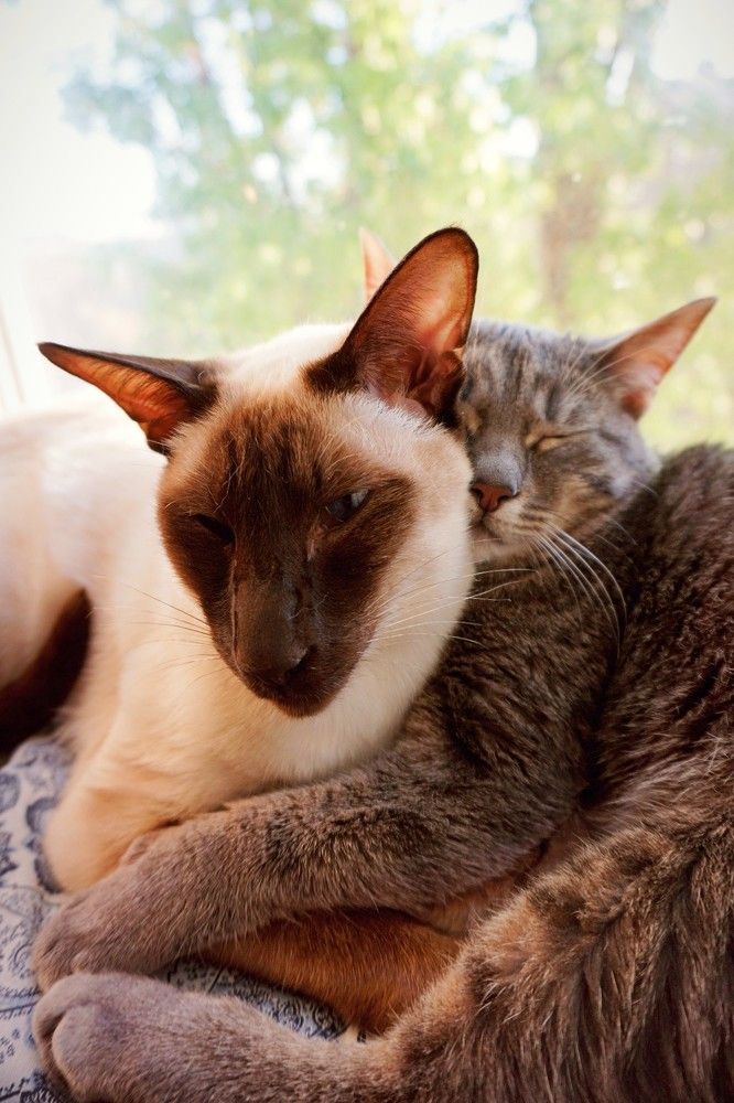 Photograph by Дмитрий Соколов