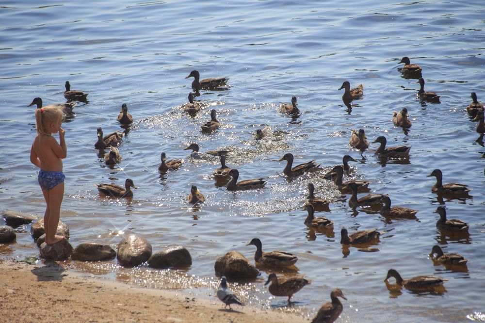 Photograph by Vasily Prokhorov