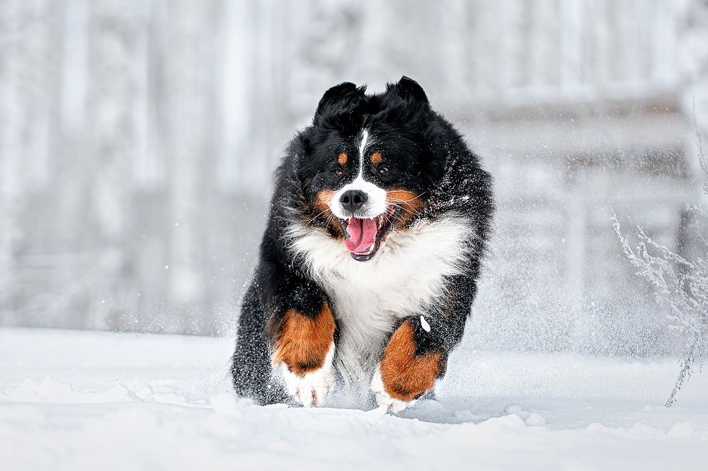 Фотография автора Оксана Серова